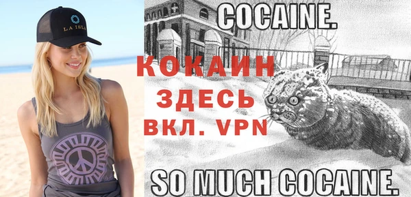твердый Дмитриев