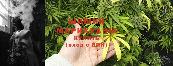 твердый Дмитриев