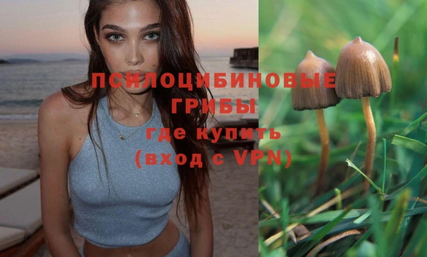 mix Гусев