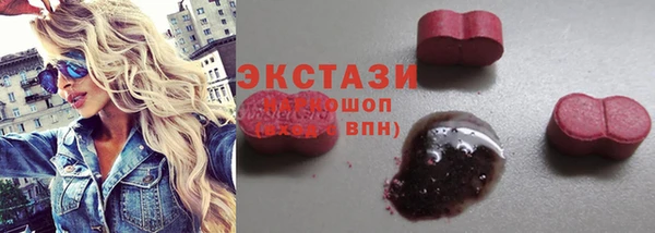 твердый Дмитриев