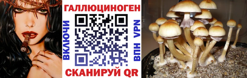 Галлюциногенные грибы MAGIC MUSHROOMS  Карпинск 