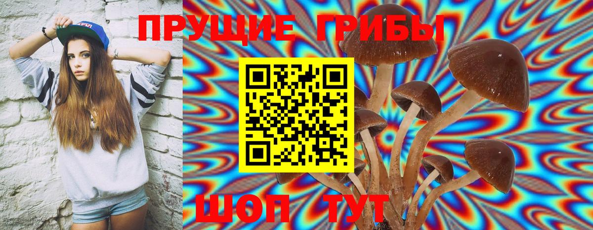 Галлюциногенные грибы Magic Shrooms Карпинск