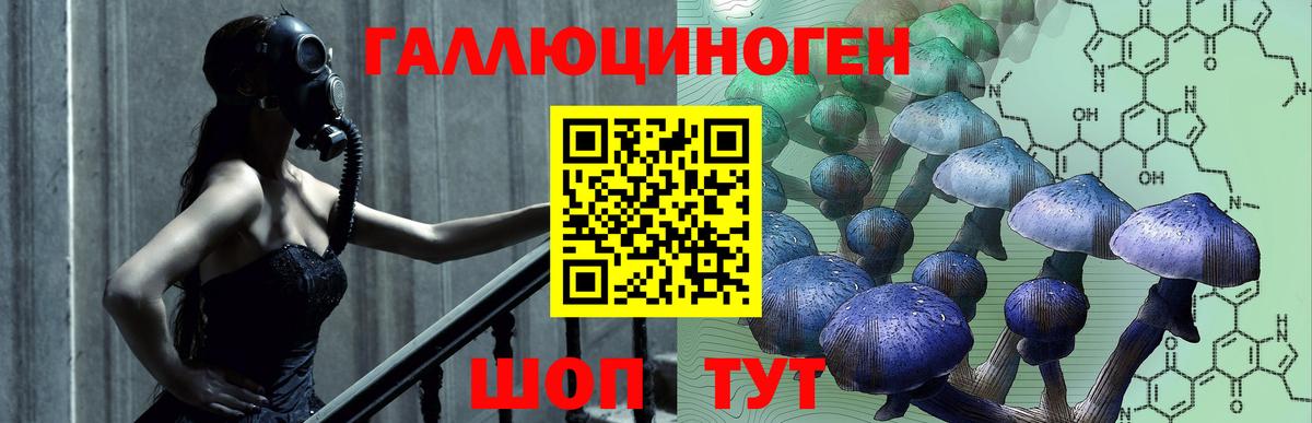 Галлюциногенные грибы мицелий  Галлюциногенные грибы Psilocybine cubensis  сколько стоит  Карпинск  Вход с VPN 